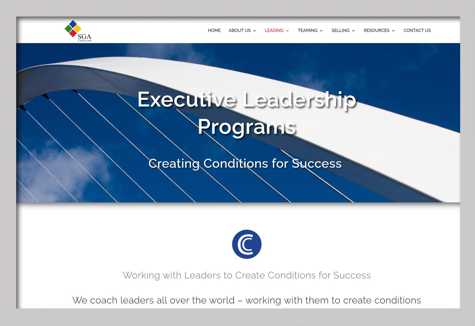 Executive Leadership Program
