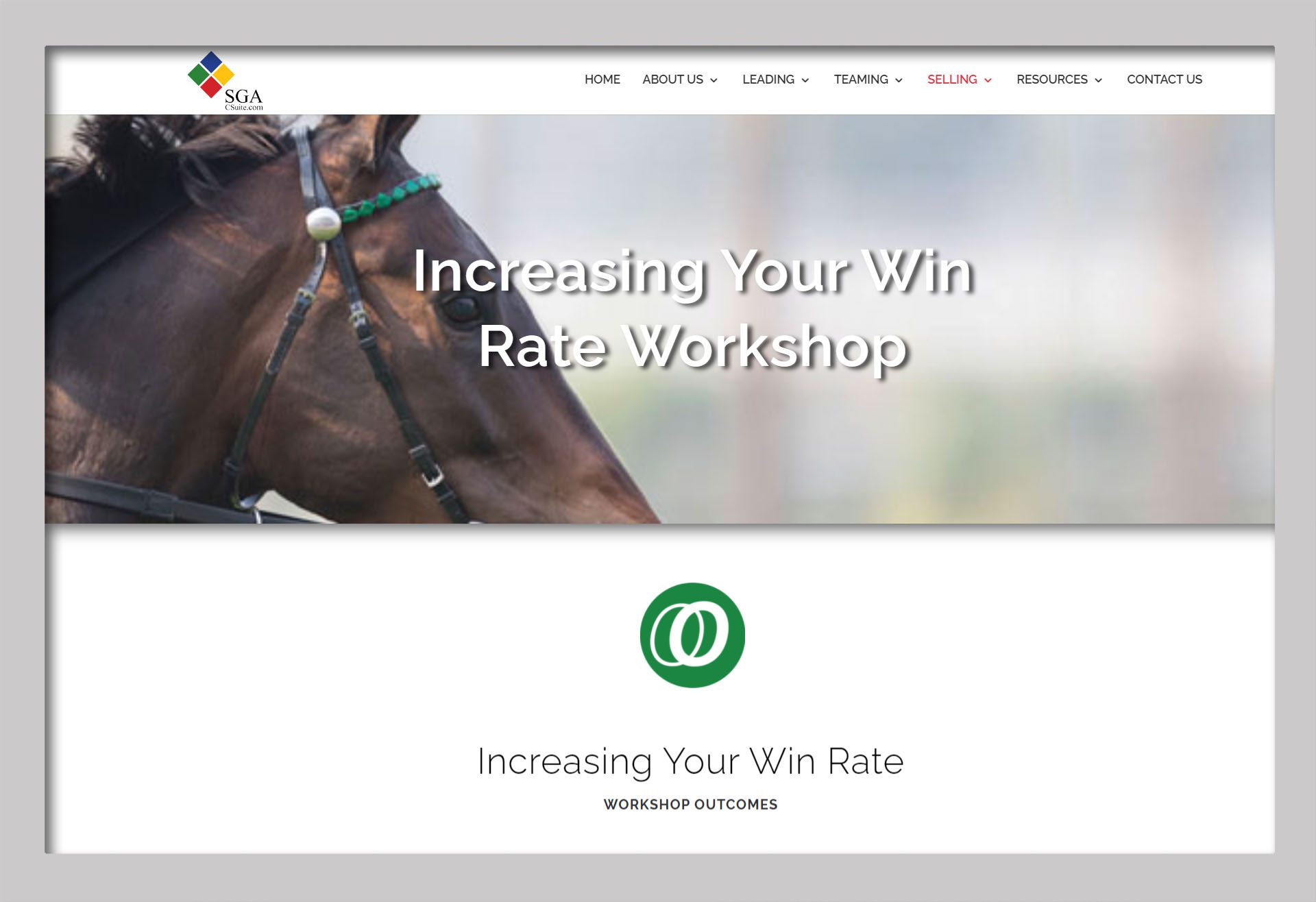 Increasing Your Win Rate Workshop
