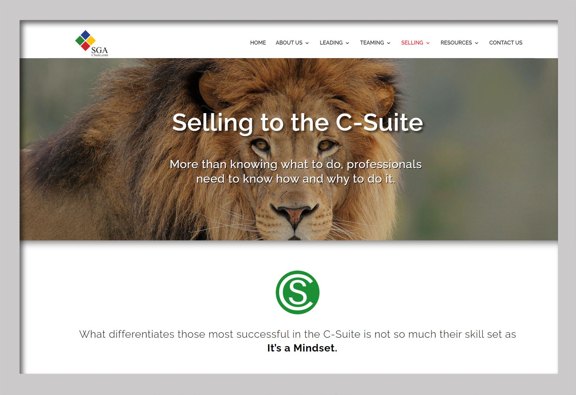 selling-to-the-c-suite